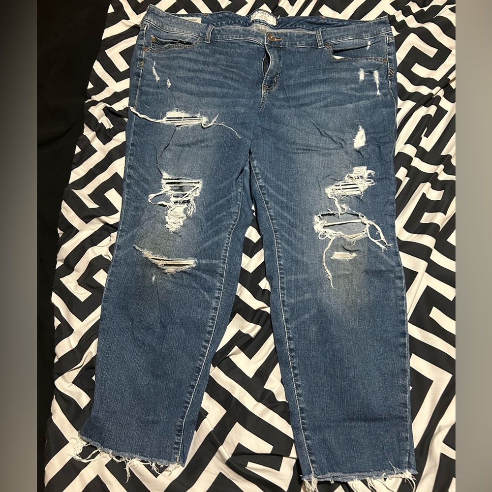 TORRID SZ 24 Distressed Blue Jean crops